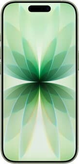 Apple iPhone 17 5G Dual SIM 256GB 8GB RAM Sage Green